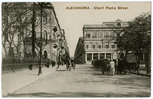 Alexandria Library