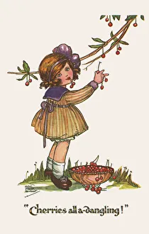 Images Dated 14th September 2020: Cherries All A-Dangling