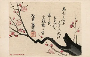 Images Dated 31st May 2018: A Cherry Blossom Branch by Ogata Kenzan