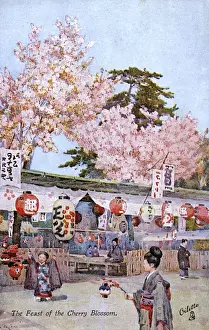 Fete Prints: Cherry Blossom Festival - Japan