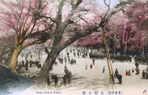 Prop Collection: Cherry Blossom and marching soldiers Ueno Park, Tokyo, Japan