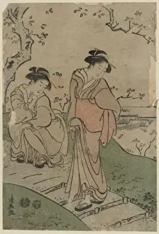 Cherry blossom viewing