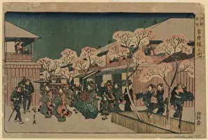 Yoshiwara Prints: Cherry blossoms of Yoshiwara