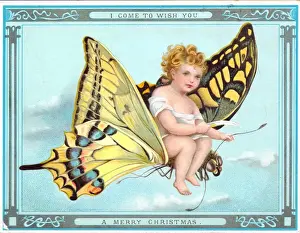 Cherub Prints: Cherub riding a butterfly on a Christmas card
