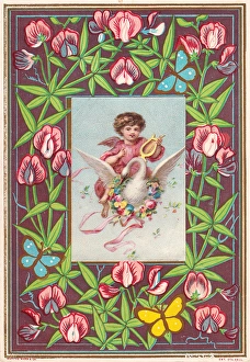 Images Dated 27th October 2015: Cherub riding a swan on a greetings card