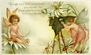 Cherubic Prints: Cherubic fairies