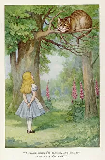 Carroll Collection: Cheshire Cat / Tree