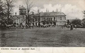 Warrington Gallery: Cheshire Hounds at Appleton Hall, Warrington