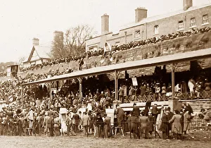 Chester Races in 1899