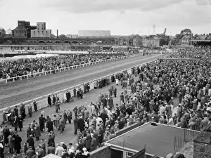 Chester Prints: Chester Races