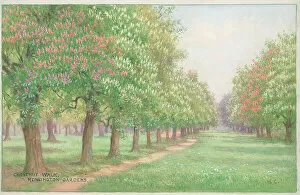 Affleck Gallery: Chestnut Walk Kensington Gardens London Parks
