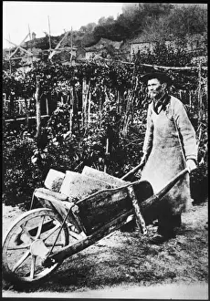Transporting Prints: Cheval Portrait P. Card