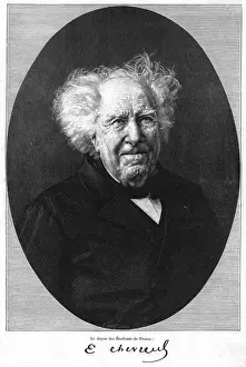 Chevreul, Old Age