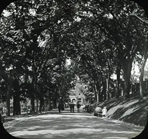 Chicago, 1904