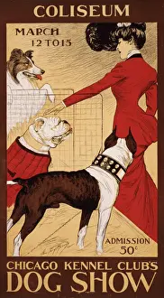 Chicago Prints: Chicago Kennel Clubs dog show