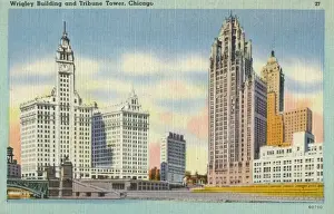 Chicago Skyscrapers