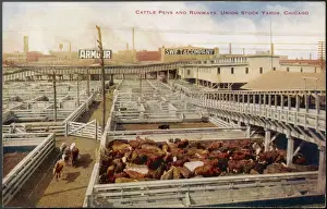 CHICAGO STOCKYARD