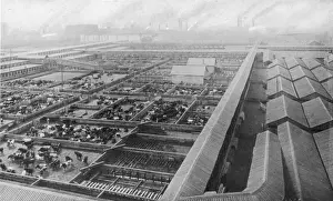 Chicago Stockyards 4