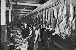 Chicago Stockyards 7