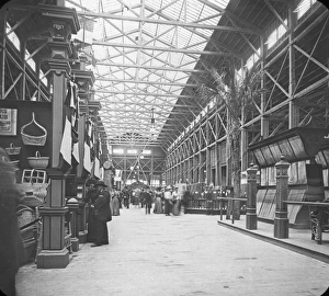 Aisle Gallery: Chicago Worlds Fair - Forestry Division