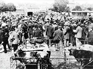 Chichester Prints: Chichester Market early 1900s