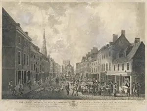 Chichester Sheep Market