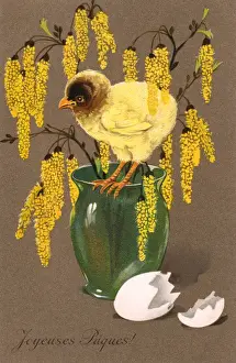 Blossoms Prints: Chick and Blossom