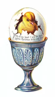 Eggshell Gallery: Chick in an eggcup on a cutout Christmas card
