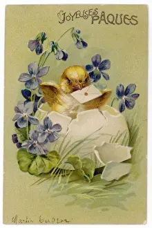 Hatch Prints: Chick hatching from an egg with a letter in its beak