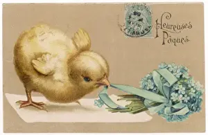 Posy Prints: Chick and Posy