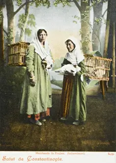 Cages Prints: Chicken sellers, Constantinople