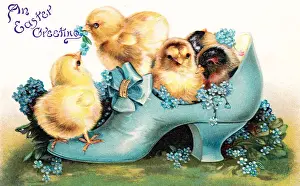 Forgetmenots Prints: Chicks in a blue shoe on an Easter postcard