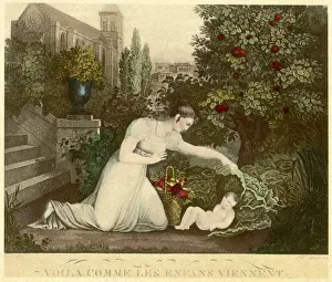 Child under Cabbage Leaf