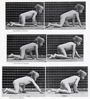 Crawling Prints: CHILD CRAWLING (sequence of six). Date: 1887