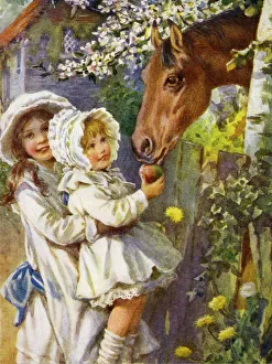 Feed Gallery: Child feeding a pony