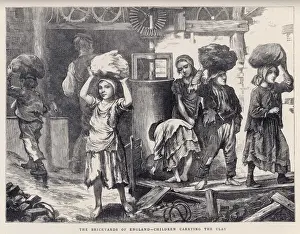 Child Labour