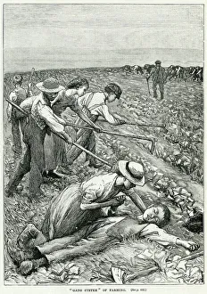 Exhausted Collection: Child labour working in the fields