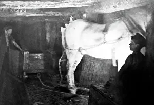 A child miner with a pit pony in an English coal mine