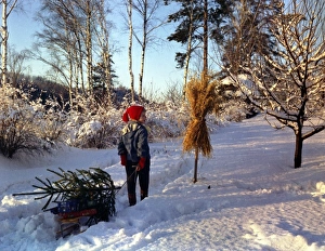 Choosing Gallery: Child pulling sledge