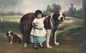 Child and St Bernards