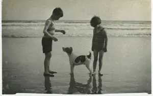 Two children on beach with dog