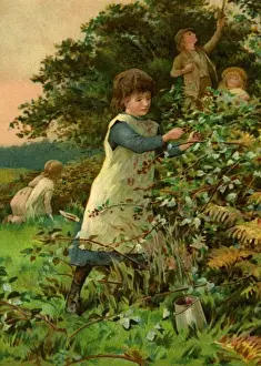 Children blackberrying