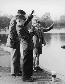Nostalgia Collection: Children Catch Tiddlers