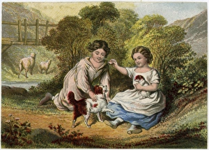 Images Dated 25th July 2011: Children and Dogs