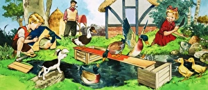 Images Dated 29th November 2007: Children and ducks playing