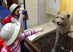 Felid Prints: Children with Explorer Packs