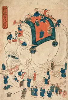 Exploring Prints: Children exploring an elephant