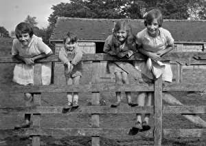Four children on a fence