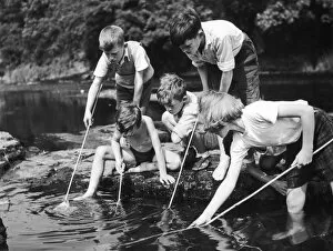 Nostalgia Collection: Children Fish in Stream