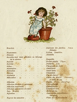 Images Dated 12th December 2011: Children / Flowers 1884